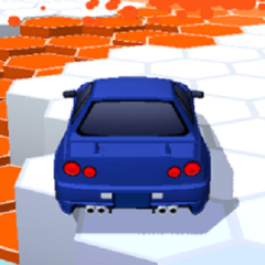 Survival Race